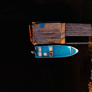 Логотип @wavewealth - Моря и Деньги 🌏