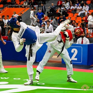 Логотип @waychampionn - ПРО ПУТЬ🥋