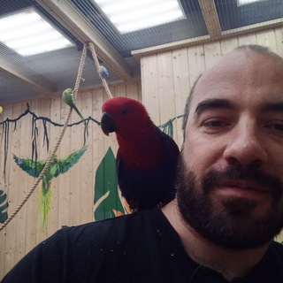 Логотип @wayofheart - Лесман Артём | психолог, психотерапевт