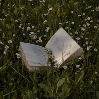 Логотип @waytohap - Без фильтров | Психология для НЕидеальных