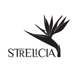 Логотип @wb_geo - Strelicia (Wildberries Geo)