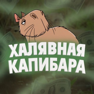 Логотип @wb_ozon_obzor_top - Хᴀᴧяʙнᴀя ᴋᴀᴨибᴀᴩᴀ😜