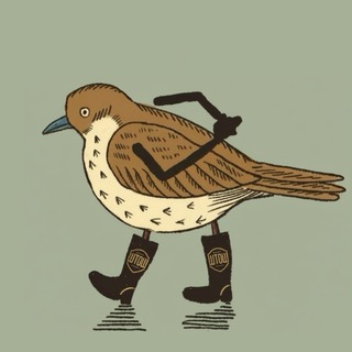 Логотип @wb_prekrati - ШТОШ