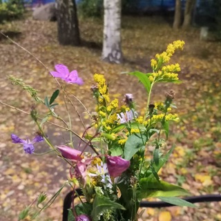 Логотип @wb_shmotki_veshi - Мяу