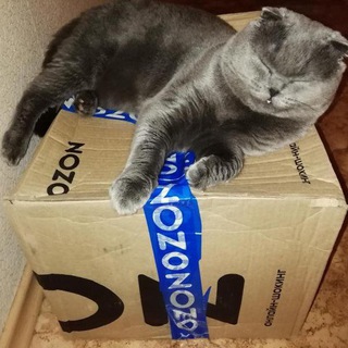 Логотип @wb_skidki - Скидки | акции |промокоды