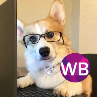 Логотип @wb_skidki_day - Экономь с Wildberries🤍