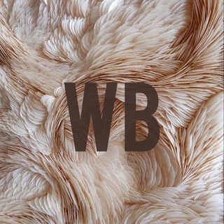 Логотип @wbblook - ПОДБОРКИ ВЕЩЕЙ С WILDBERRIES