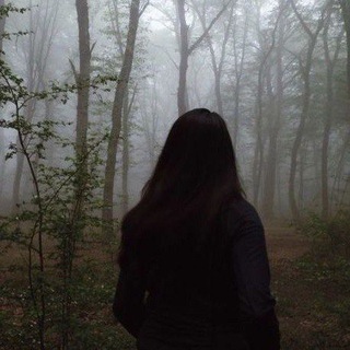 Логотип @wbcga - [ 꿈 ] в‌а‌н‌и‌л‌ь‌н‌ы‌е‌ с‌н‌ы‌ ◞ 🥡 ✧