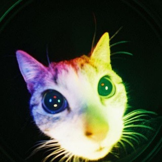 Логотип @wbmarlys - WBmarlys