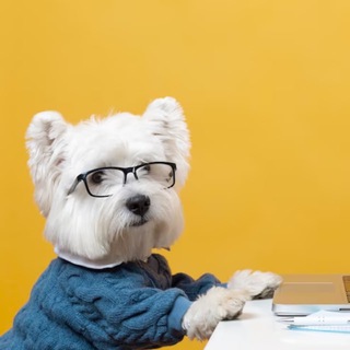 Логотип @wbnalimon - ⚡️ WB на 🍋 OZON ЯМАРКЕТ -70%⚡️