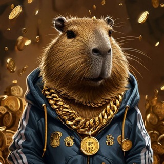 Логотип @wbrazdachi - Раздачи от Капибары /WB/Ozon/Кэшбэк за отзыв. Реклама товаров