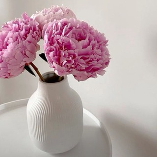 Логотип @wbvdom - Красивое для дома с WB💜