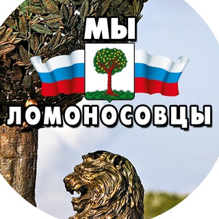 Логотип @we_lomonosovs - Мы - Ломоносовцы