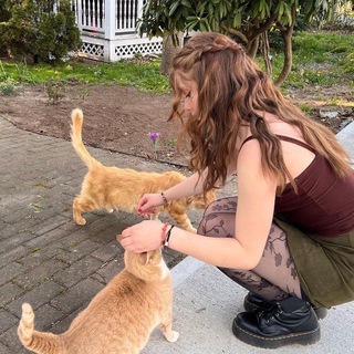 Логотип @weahelp - ⋆ ࣪. ੭ 🪵дᴇᴩᴇʙᴇнᴄᴋий ᴨᴏдʙᴀᴧ𖧷 ｡🌳. ꒰