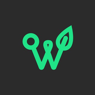 Логотип @web3eco - Web3Eco Плантации Павловнии