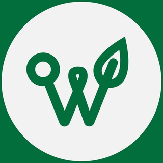 Логотип @web3eco_chat - (Чат) Web3eco Плантации Павловнии