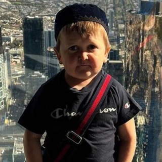 Логотип @web_memeses - Мемчанский