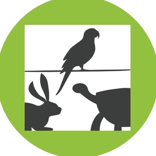 Логотип @webexovet - WebExoVet - Online school for Exotic Vets