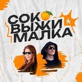 Логотип @webinar_sok - Соковыжималка 🍊