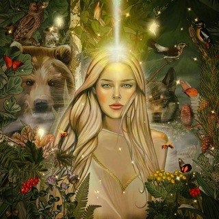 Логотип @wedischerdurchblick - ༆Wedischer Durchblick ᛡ