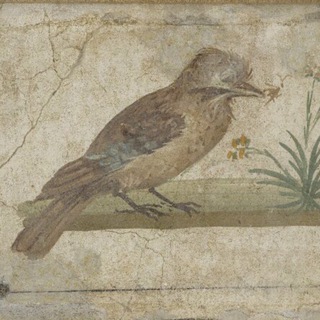 Логотип @weighheighandupsherises - Weigh heigh and up she rises