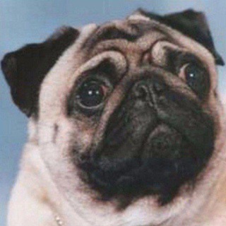 Логотип @weirdslidesofficial - Странные слайды презентаций