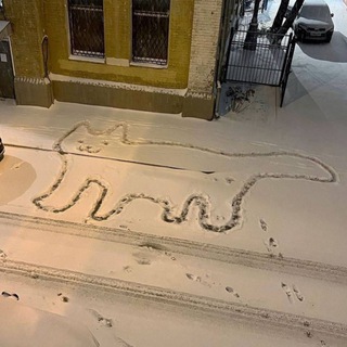 Логотип @weirdstreetsigns - Weird Street Signs