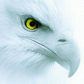 Логотип @weisseradlerkanal - ✠𝖂𝖊𝖎ß𝖊𝖗 𝕬𝖉𝖑𝖊𝖗✠Der Kanal