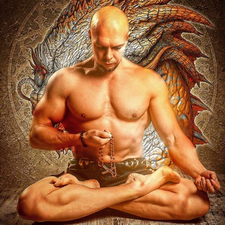 Логотип @welcomesystem - БИОХАКИНГ И ЙОГА с Алексеем Кушнаренко