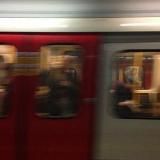 Логотип @welioall - 17 апреля