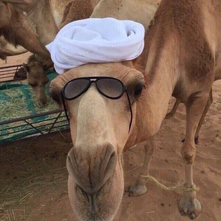 Логотип @wellcomemydear - 99.stylen 🫀