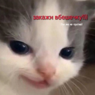 Логотип @welldependonthewb - 𝐰𝐛 𝐚𝐝𝐝𝐢𝐜𝐭𝐞𝐝