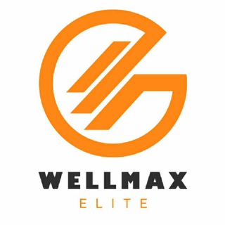 Логотип @wellmaxinfo - WellMax info