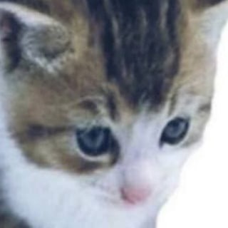 Логотип @welobsters - генрих пошел нахуй