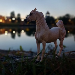 Логотип @welovehorse64 - ~ℍ𝕠𝕣𝕤𝕖~(забросила)