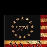 Логотип @weltweit1776 - weg mit dem System Archiv