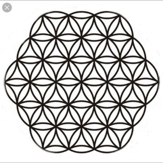 Логотип @weltwissen_schaffen_erhalten - Welt Wissen-schaffen-erhalten Archiv💡⚙🔭🔬⚡🌐