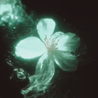 Логотип @weowka - Мяᴛᴀ