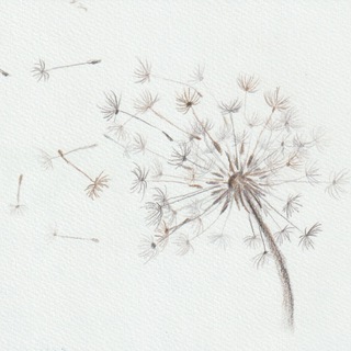 Логотип @weramashuk - В. Машук ЗЛУ НАЗЛО