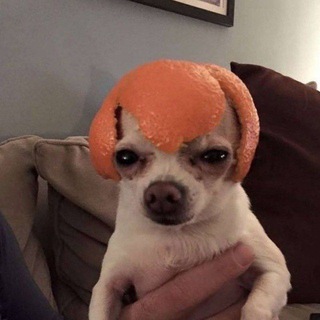 Логотип @wereor_noname - Wereor NoName