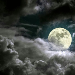 Логотип @werewolf_1234567954 - Werewolf Group