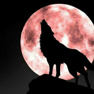Логотип @werewolf_hk - 【HK】狼人  歡迎加入
