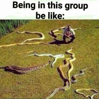 Логотип @werewolfindia - Bhediya - Ek Khel