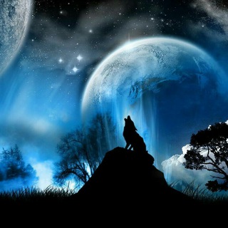 Логотип @werewolftuban - Werewolf Tuban