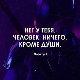 Логотип @wertfeq - 56иТрийэуЛзигоенИгерТюйт🐊📲🗜☎️🦅🐝🦏🦈🦀🦐🦑🕸🦂