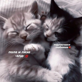Логотип @wertssr - феечки винкс