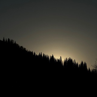 Логотип @westor_rex - WESTOR