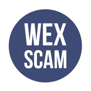 Логотип @wexiniciative - Wex.nz Инициативная Группа