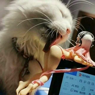 Логотип @wgm_muz - 𝕨𝕘𝕞_𝕞𝕦𝕫⚜️