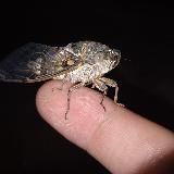 Логотип @wh13r7 - всякая кринжа и аутизм на каждый день